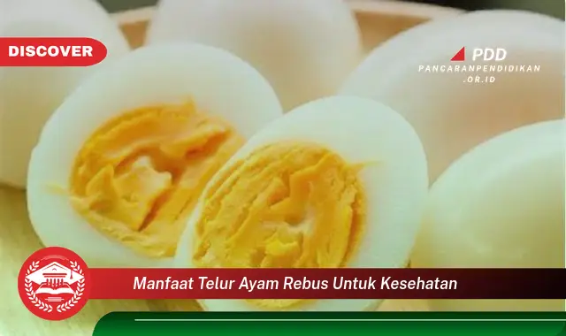 manfaat telur ayam rebus untuk kesehatan