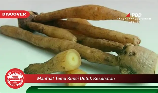 manfaat temu kunci untuk kesehatan