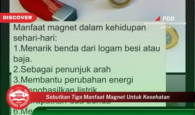 sebutkan tiga manfaat magnet untuk kesehatan