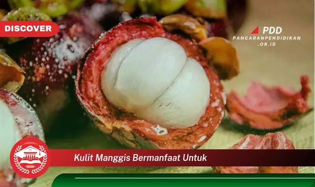 Kamu Wajib Tau, Inilah 30 Manfaat Kulit Manggis yang Bikin Penasaran