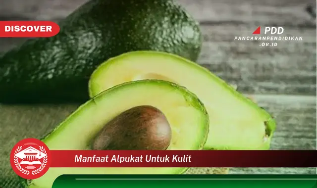 manfaat alpukat untuk kulit