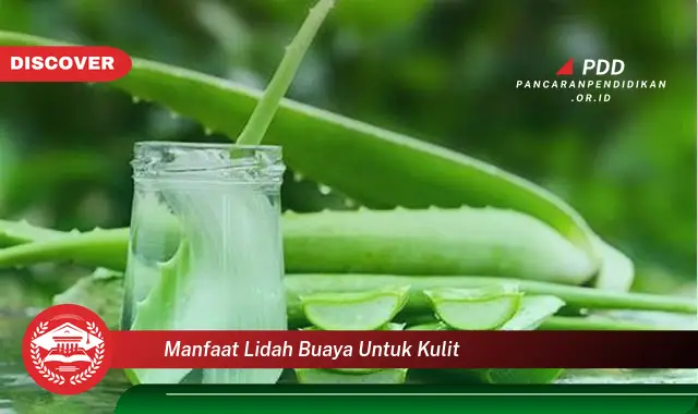 manfaat lidah buaya untuk kulit