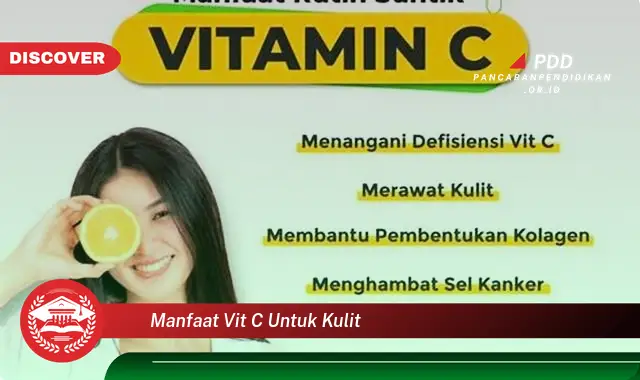 manfaat vit c untuk kulit