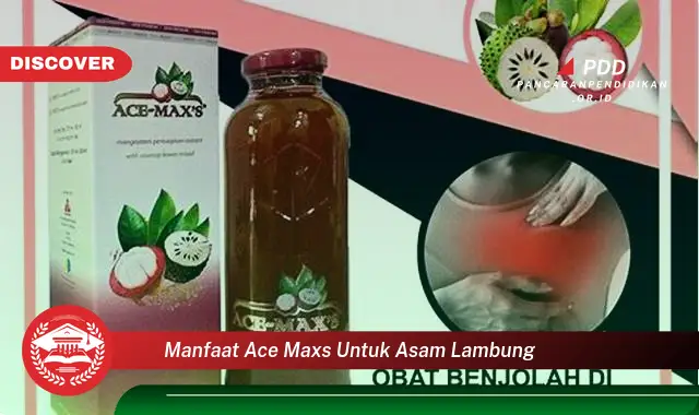 manfaat ace maxs untuk asam lambung