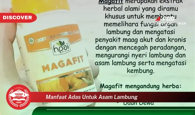 manfaat adas untuk asam lambung