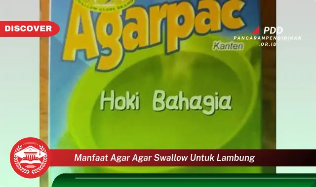 manfaat agar agar swallow untuk lambung