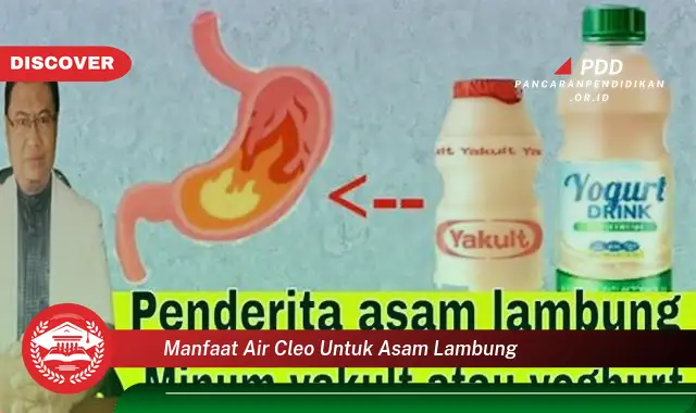 manfaat air cleo untuk asam lambung