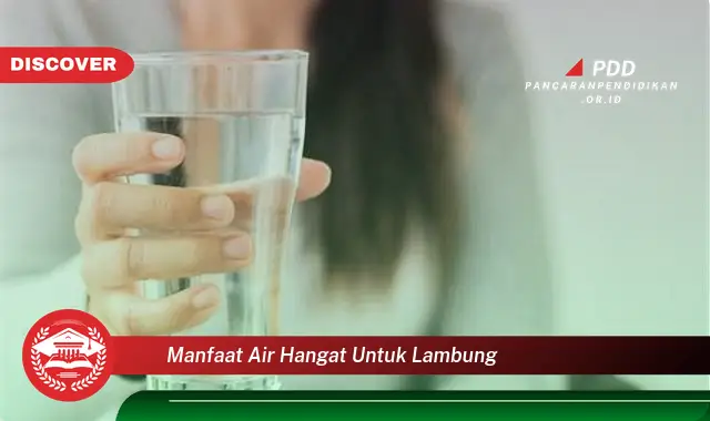 manfaat air hangat untuk lambung