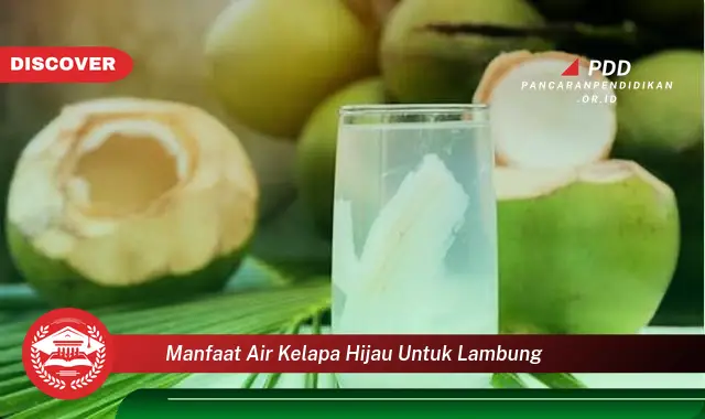 10 Manfaat Air Kelapa Hijau untuk Lambung yang Wajib Kamu Ketahui!