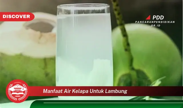 manfaat air kelapa untuk lambung