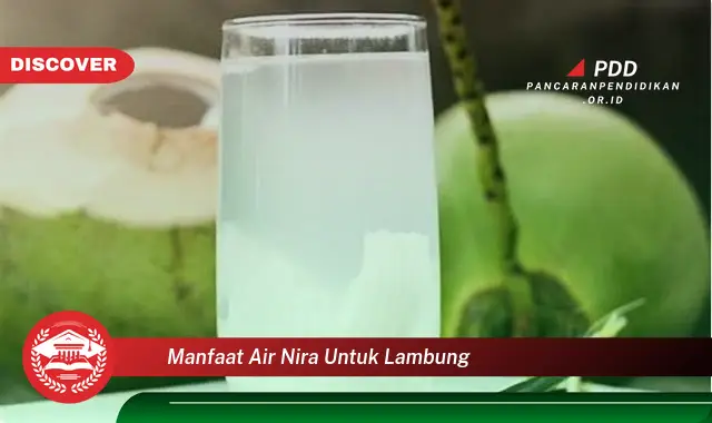 manfaat air nira untuk lambung