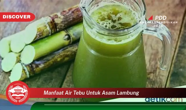 manfaat air tebu untuk asam lambung