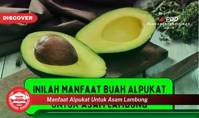 manfaat alpukat untuk asam lambung