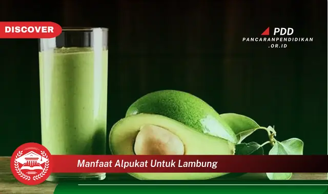 manfaat alpukat untuk lambung