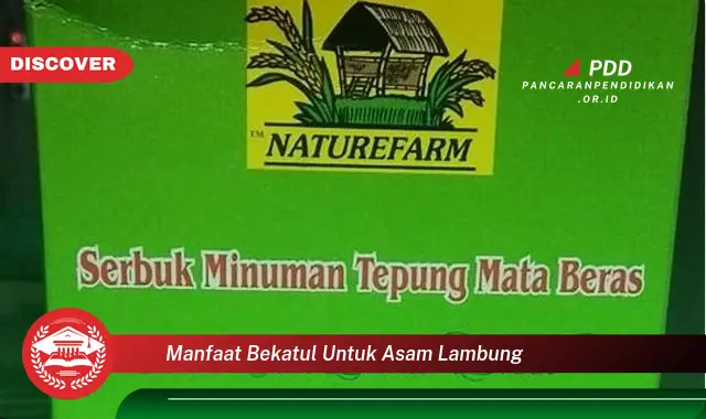 manfaat bekatul untuk asam lambung