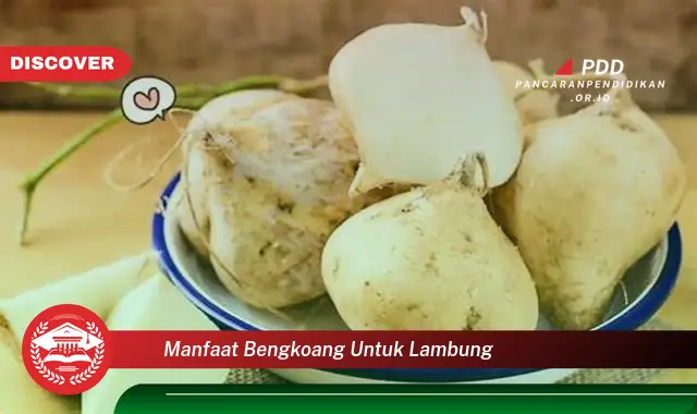 manfaat bengkoang untuk lambung