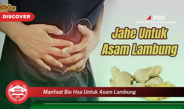 manfaat bio hsa untuk asam lambung