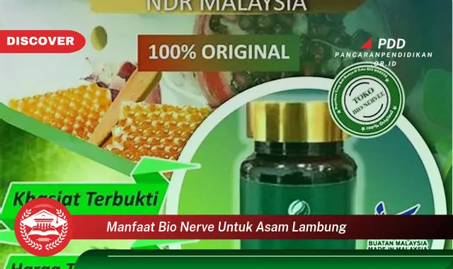 manfaat bio nerve untuk asam lambung