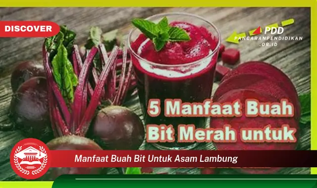 manfaat buah bit untuk asam lambung