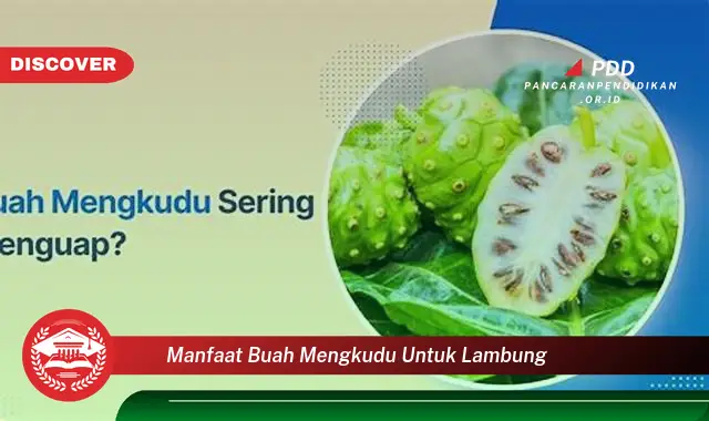 manfaat buah mengkudu untuk lambung