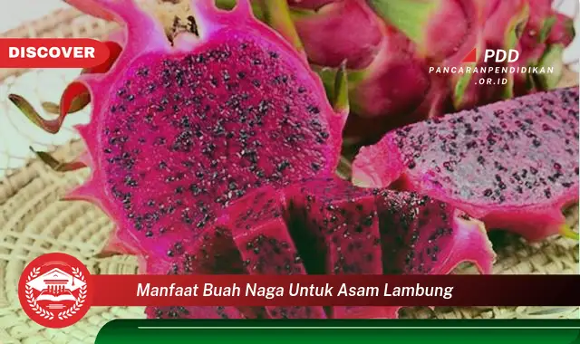 manfaat buah naga untuk asam lambung