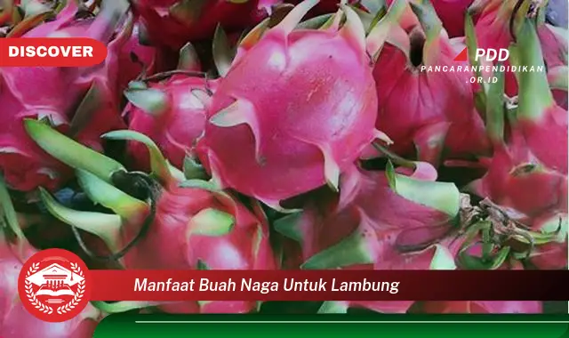 manfaat buah naga untuk lambung