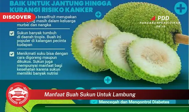 manfaat buah sukun untuk lambung