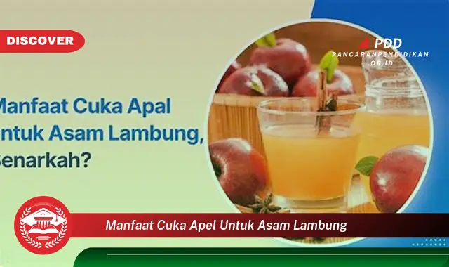 manfaat cuka apel untuk asam lambung