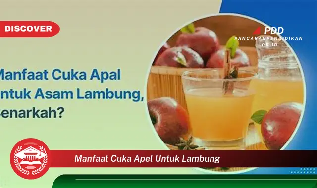 manfaat cuka apel untuk lambung