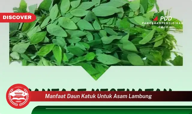 manfaat daun katuk untuk asam lambung