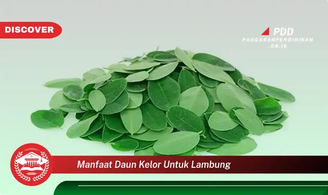 manfaat daun kelor untuk lambung