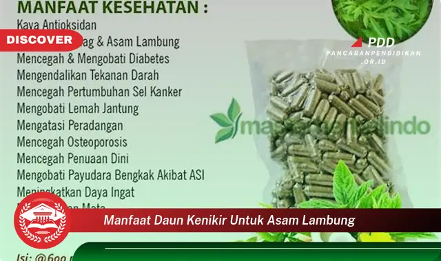 manfaat daun kenikir untuk asam lambung