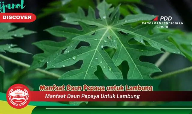 Intip 10 Manfaat Daun Pepaya untuk Kesehatan Lambung yang Jarang Diketahui