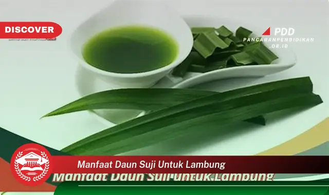 manfaat daun suji untuk lambung