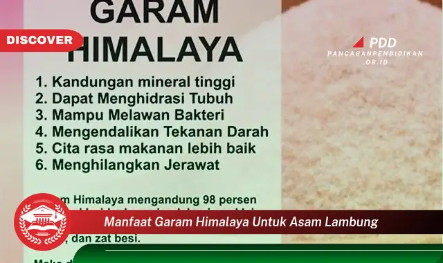 manfaat garam himalaya untuk asam lambung