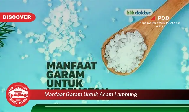 manfaat garam untuk asam lambung