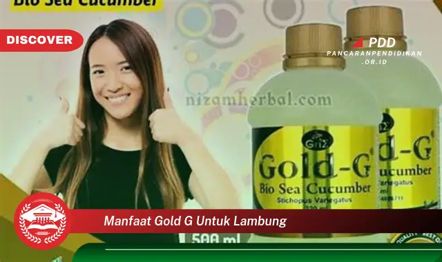 manfaat gold g untuk lambung