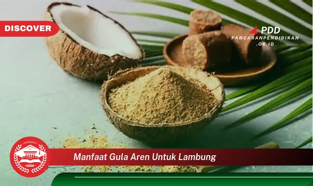 manfaat gula aren untuk lambung