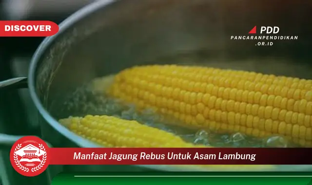 manfaat jagung rebus untuk asam lambung