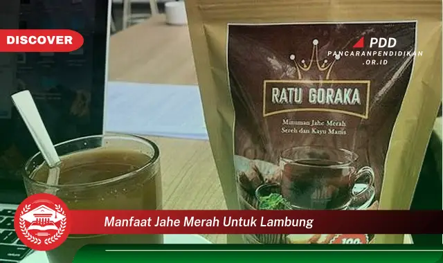 manfaat jahe merah untuk lambung