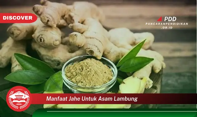 manfaat jahe untuk asam lambung