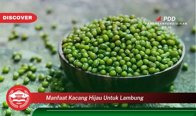 manfaat kacang hijau untuk lambung