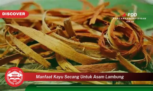 manfaat kayu secang untuk asam lambung