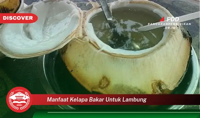 manfaat kelapa bakar untuk lambung