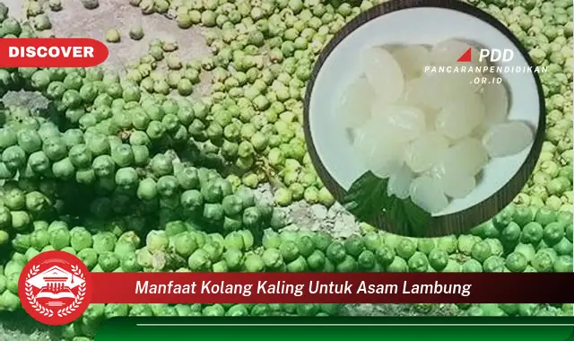 manfaat kolang kaling untuk asam lambung