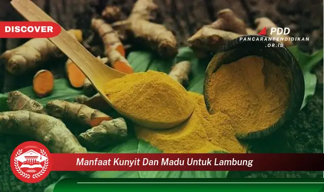 manfaat kunyit dan madu untuk lambung