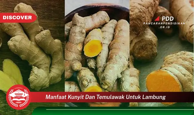 manfaat kunyit dan temulawak untuk lambung