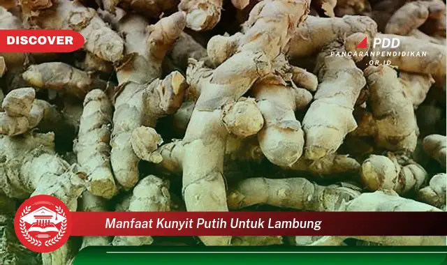 manfaat kunyit putih untuk lambung