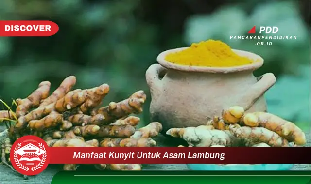 manfaat kunyit untuk asam lambung