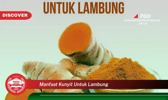 manfaat kunyit untuk lambung